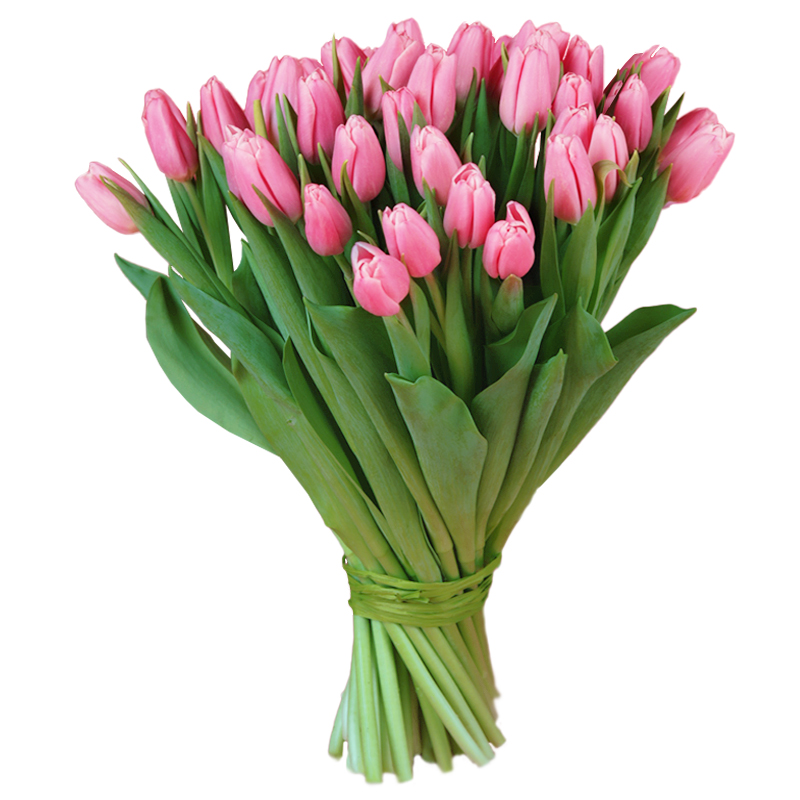 Tulipany